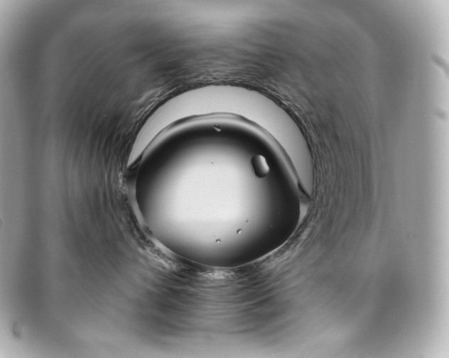 X0000093490432200710261120