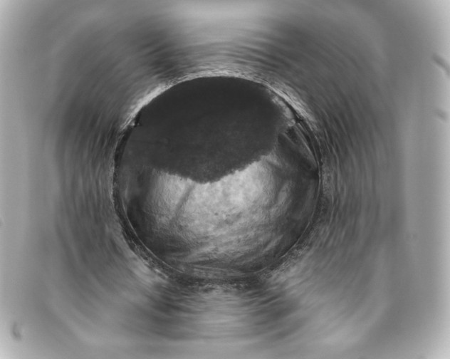 X0000093490434200710261120