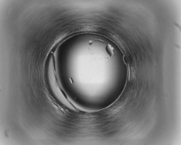 X0000093490435200710261120