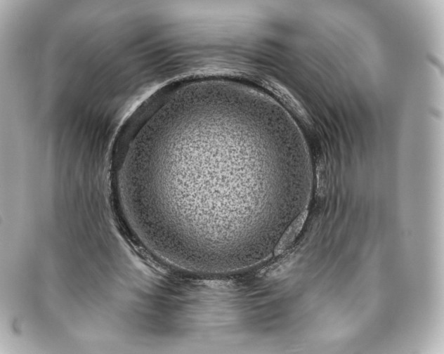 X0000093490436200710261120