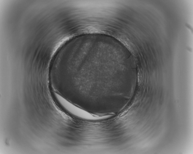 X0000093490438200710261120