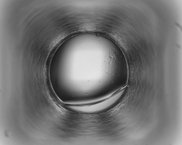 X0000093490439200710261120