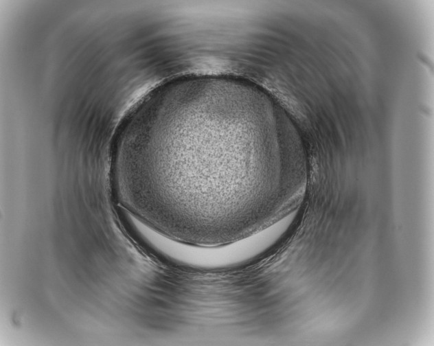 X0000093490440200710261120