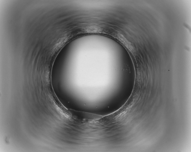 X0000093490441200710261120