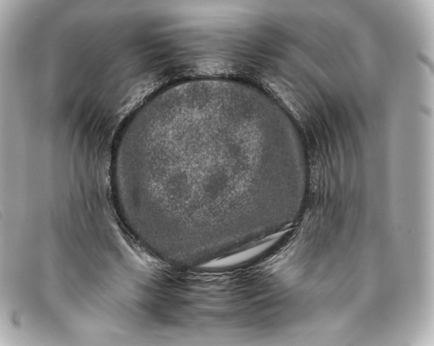 X0000093490443200710261120