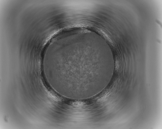 X0000093490444200710261120