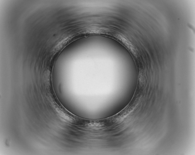 X0000093490445200710261120