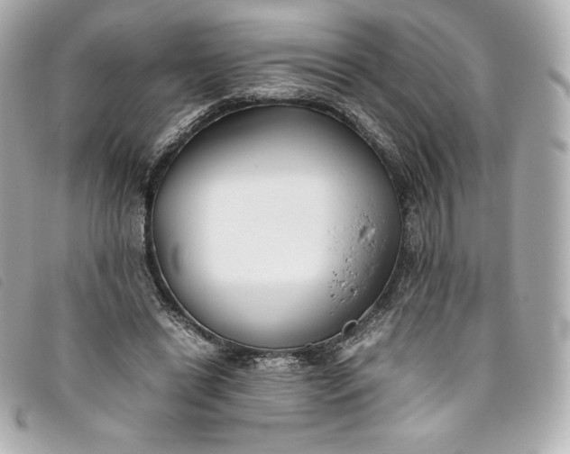 X0000093490446200710261120