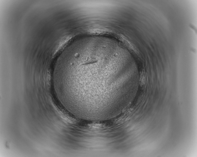 X0000093490448200710261120