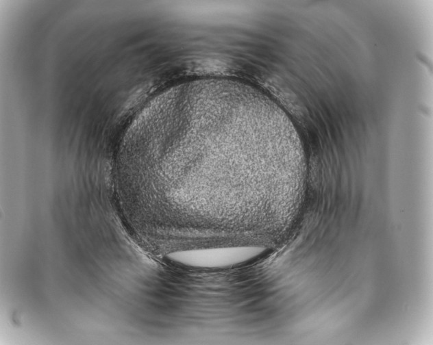 X0000093490449200710261120