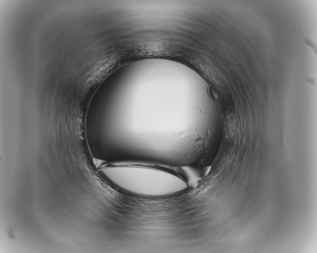 X0000093490450200710261120