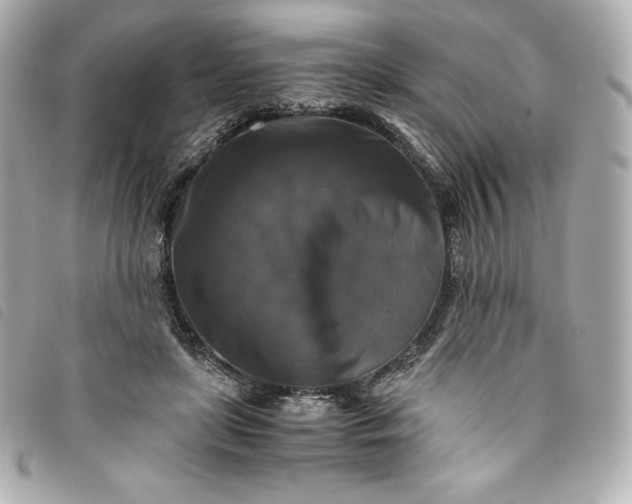 X0000093490451200710261120