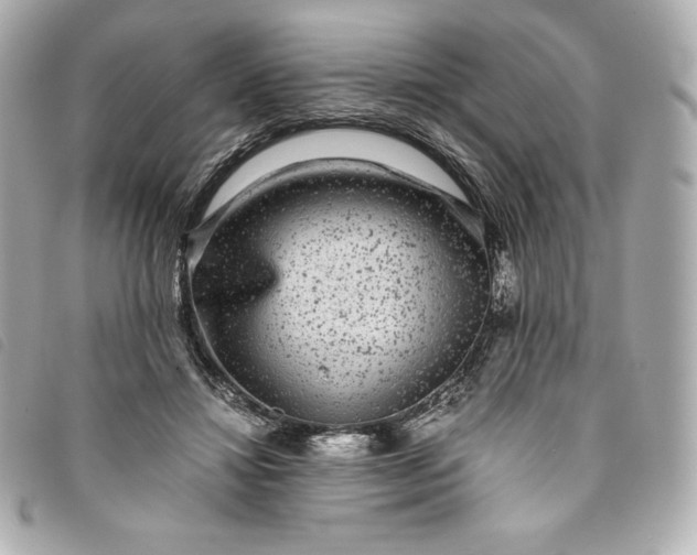 X0000093490452200710261120