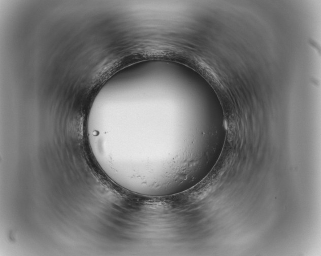 X0000093490454200710261120