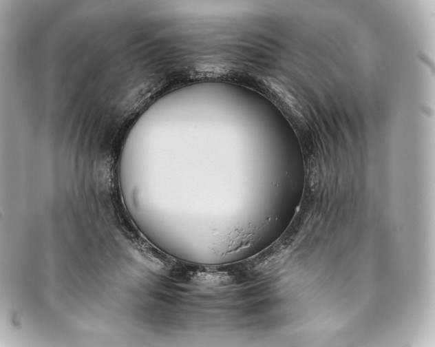 X0000093490455200710261120