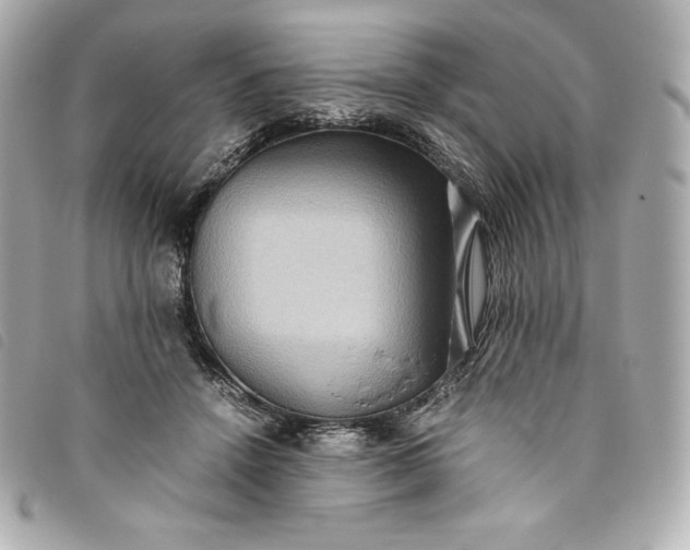 X0000093490456200710261120