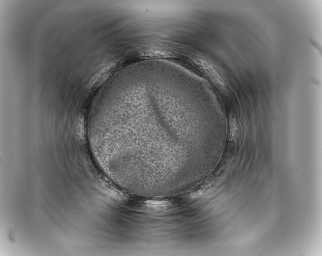 X0000093490457200710261120