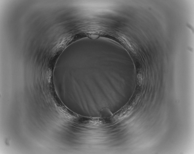 X0000093490458200710261120