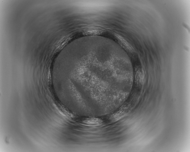 X0000093490459200710261120