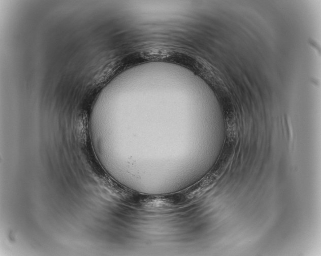 X0000093490460200710261120