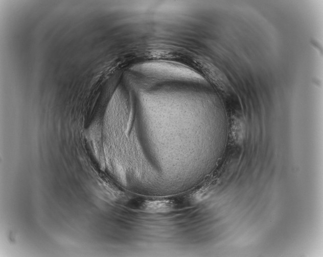 X0000093490461200710261120