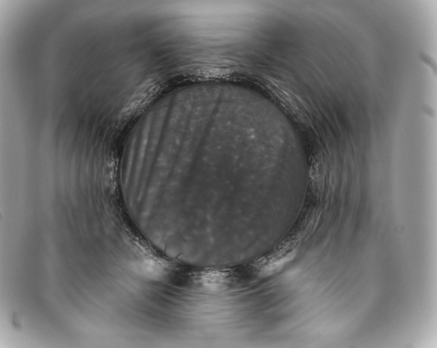 X0000093490462200710261120