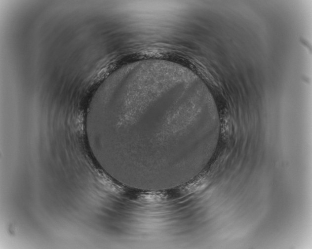 X0000093490466200710261120