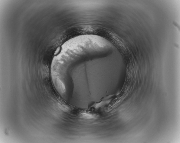 X0000093490467200710261120