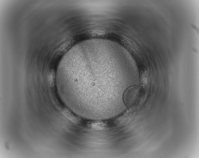 X0000093490468200710261120