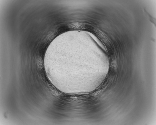 X0000093490469200710261120