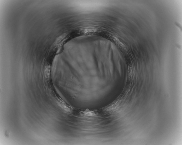 X0000093490475200710261120