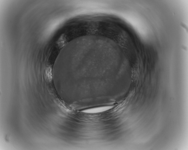 X0000093490479200710261120