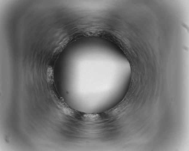 X0000093490480200710261120