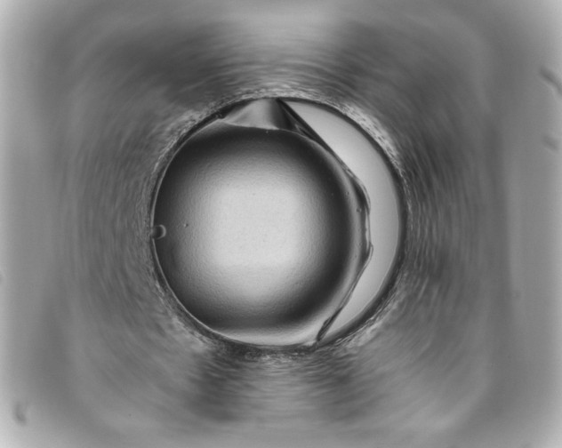 X0000093490481200710261120