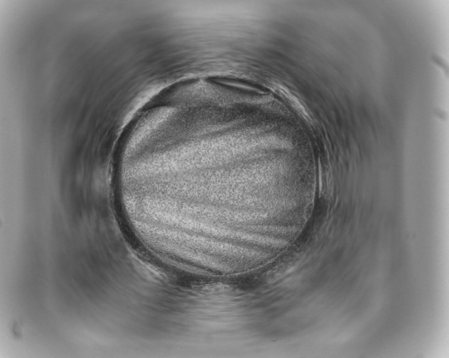 X0000093490483200710261120