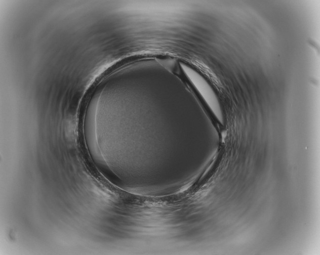 X0000093490484200710261120