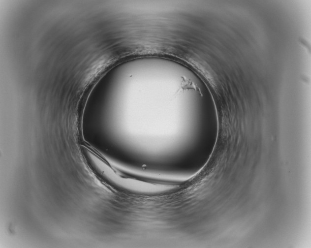 X0000093490485200710261120