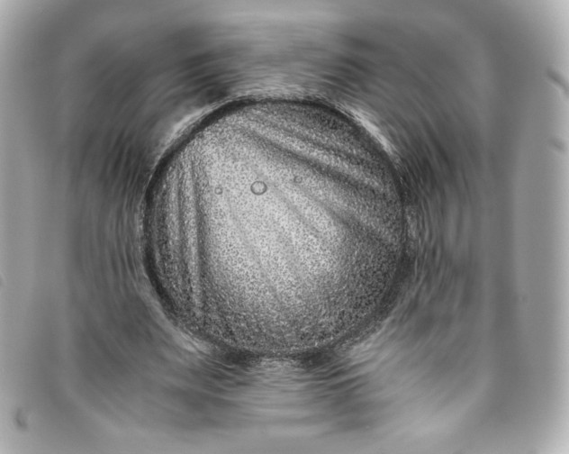 X0000093490487200710261120