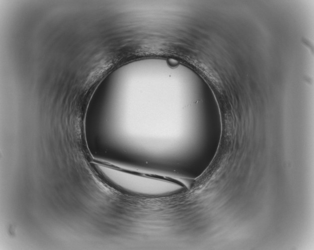 X0000093490489200710261120