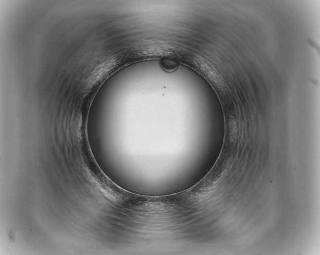 X0000093490490200710261120