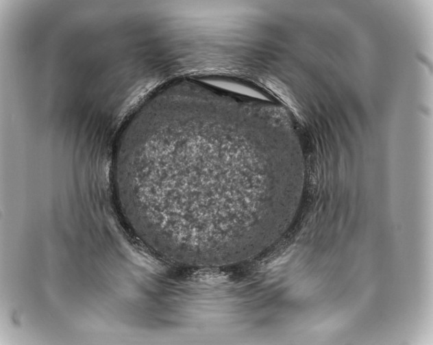 X0000093490491200710261120