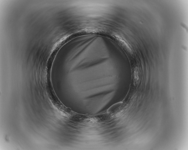 X0000093490492200710261120