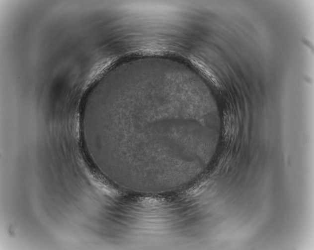 X0000093490494200710261120