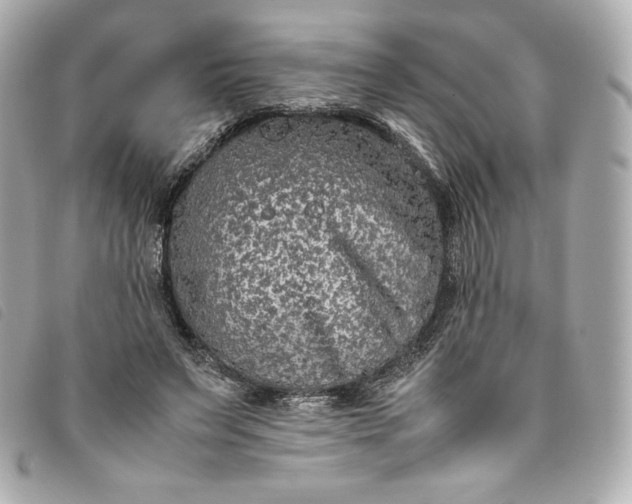 X0000093490495200710261120