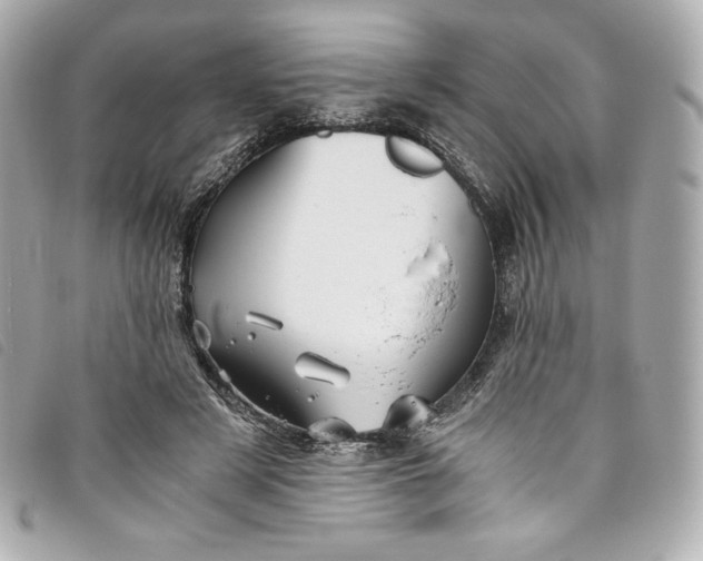 X0000093490497200710261120