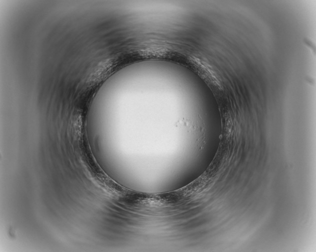 X0000093490498200710261120