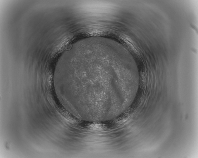 X0000093490499200710261120