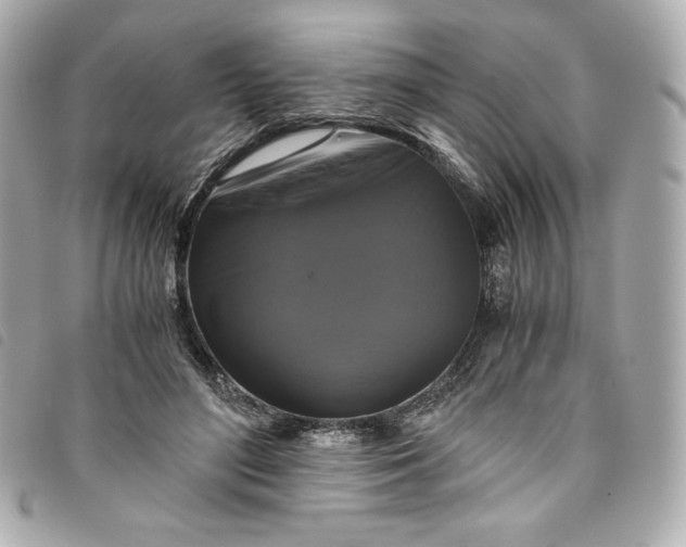 X0000093490500200710261120