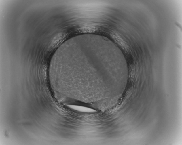 X0000093490501200710261120