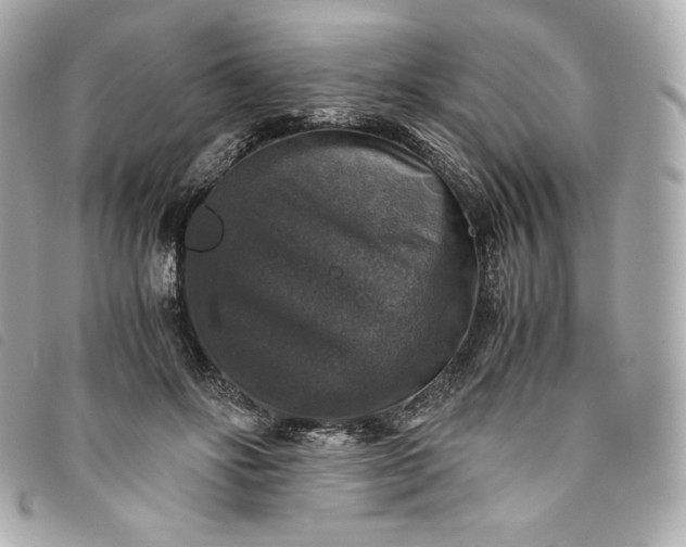 X0000093490502200710261120